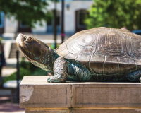 Testudo statue at McKeldin Library